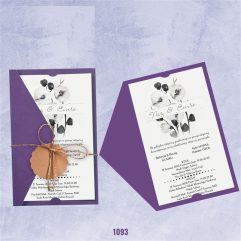 MÜ 1093