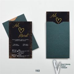 YK 1163