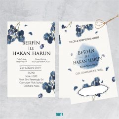 İK 9017